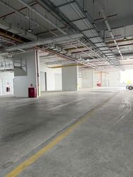 Ct Foodnex (D25), Factory #619341281